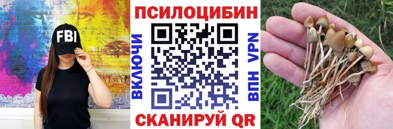 Псилоцибиновые грибы ЛСД  Власиха 